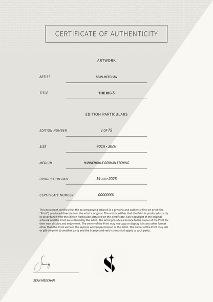 The Big 3 — Certificate of Authenticity