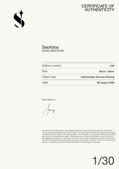 Sackboy — Certificate of Authenticity