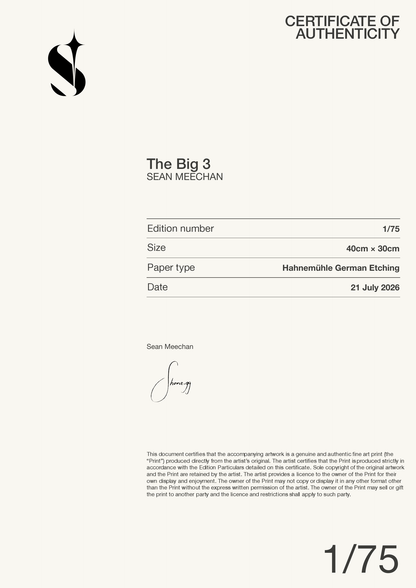 The Big 3 — Certificate of Authenticity