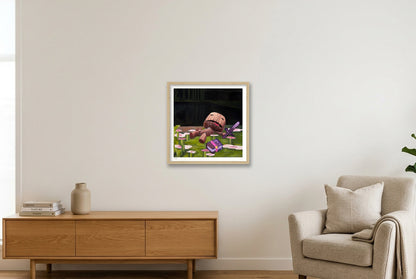 A Big Adventure — 40×40cm, 16×16" Oak Frame